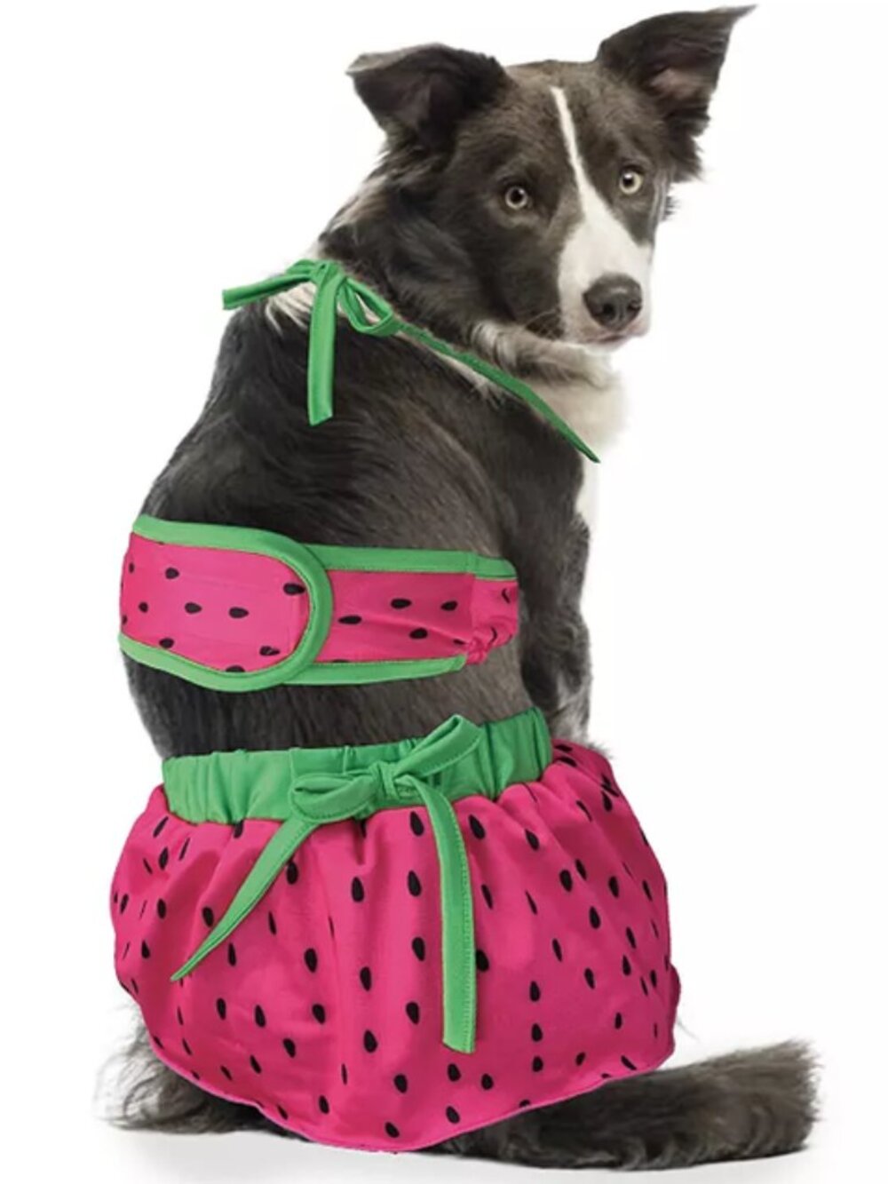 NWT ~ Watermelon Dog Bikini by WOOF (Size: Large)